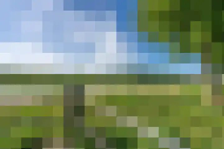 De Waard 155 Groningen thumbnail 48