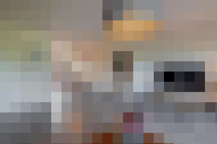 De Waard 233 Groningen thumbnail 11