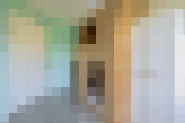 De Waard 233 Groningen thumbnail 29