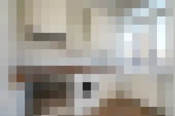 De Waard 233 Groningen thumbnail 31