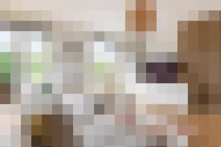 De Waard 35 Groningen thumbnail 14