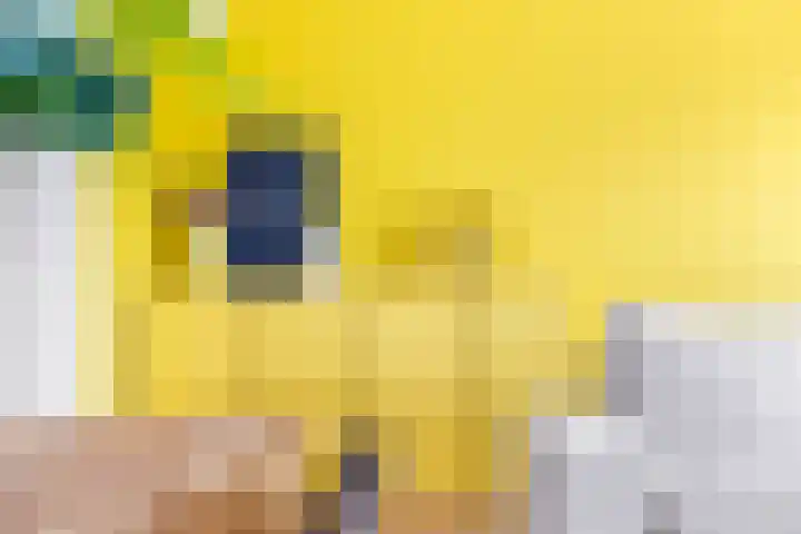 De Waard 35 Groningen thumbnail 16