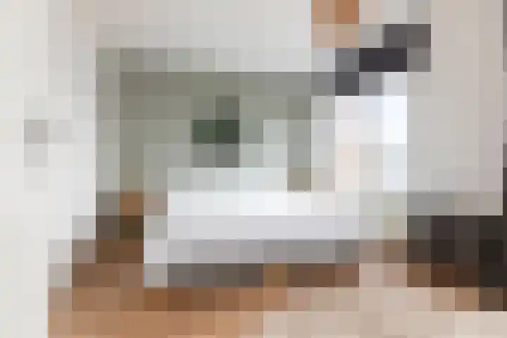 De Waard 35 Groningen thumbnail 26