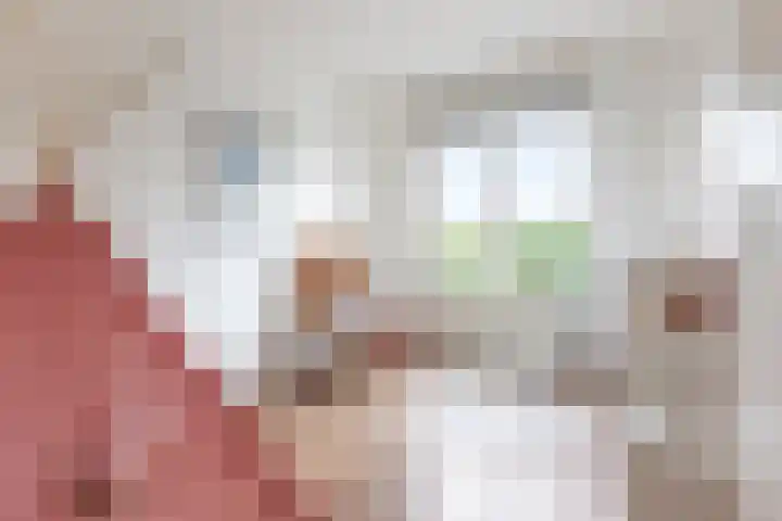 De Waard 35 Groningen thumbnail 28