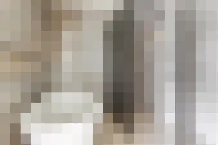 De Waard 35 Groningen thumbnail 30