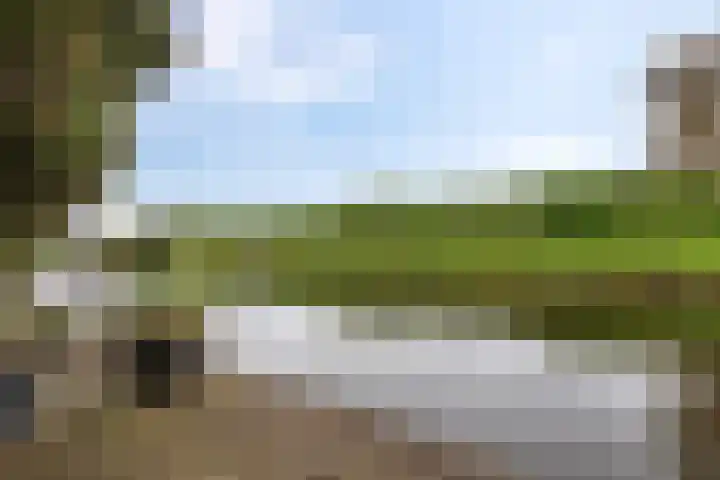 De Waard 35 Groningen thumbnail 38