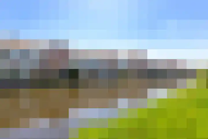 De Waard 35 Groningen thumbnail 39