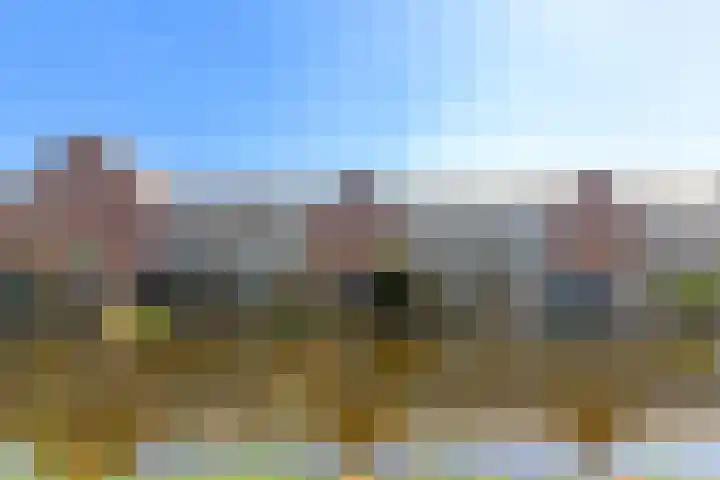 De Waard 35 Groningen thumbnail 40