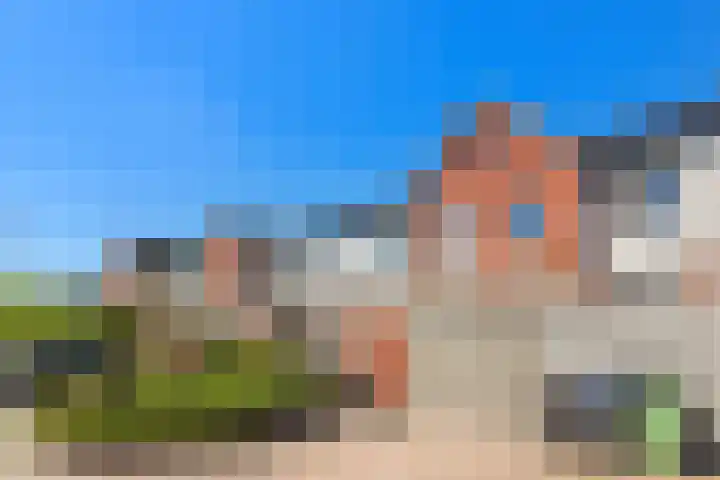 De Waard 35 Groningen thumbnail 41