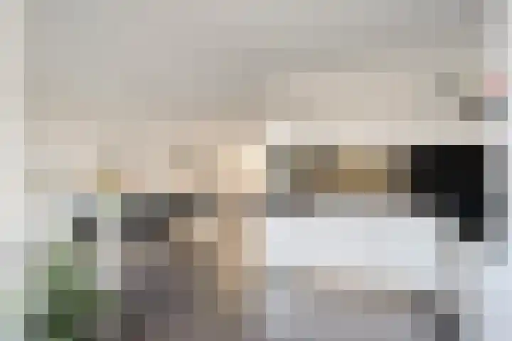 De Waard 7 Heiloo thumbnail 12