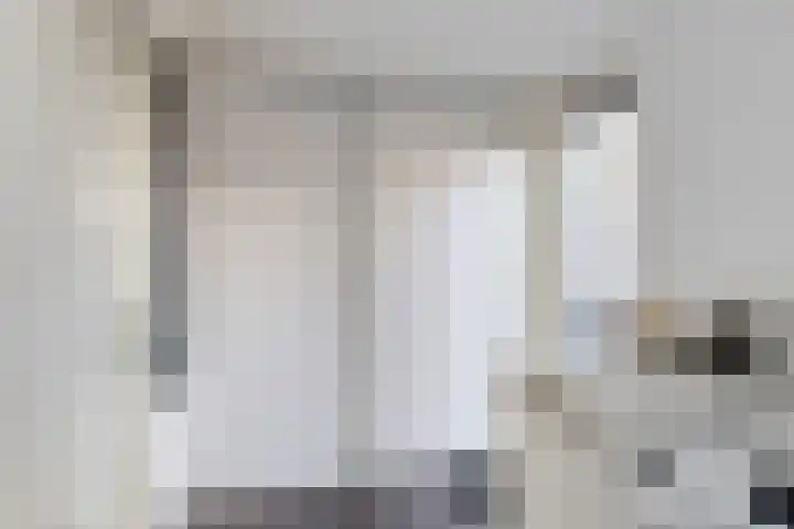 De Waard 7 Heiloo thumbnail 15