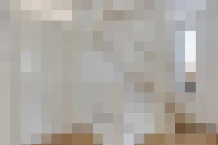 De Waard 7 Heiloo thumbnail 20