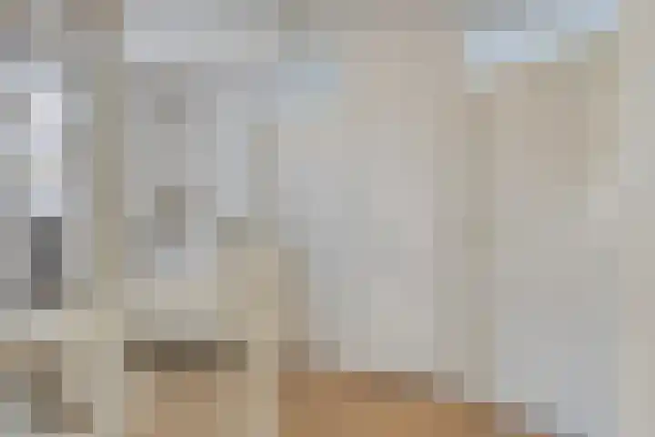 De Waard 7 Heiloo thumbnail 21