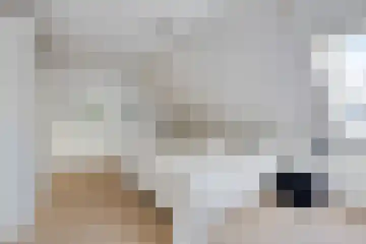De Waard 7 Heiloo thumbnail 23