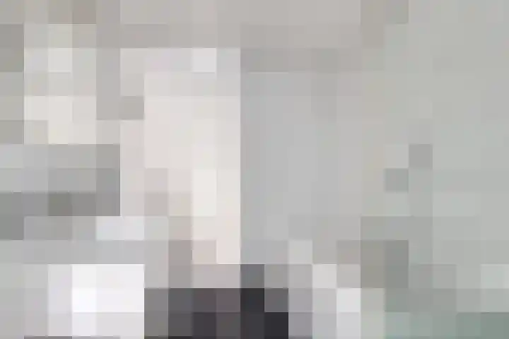 De Waard 7 Heiloo thumbnail 27