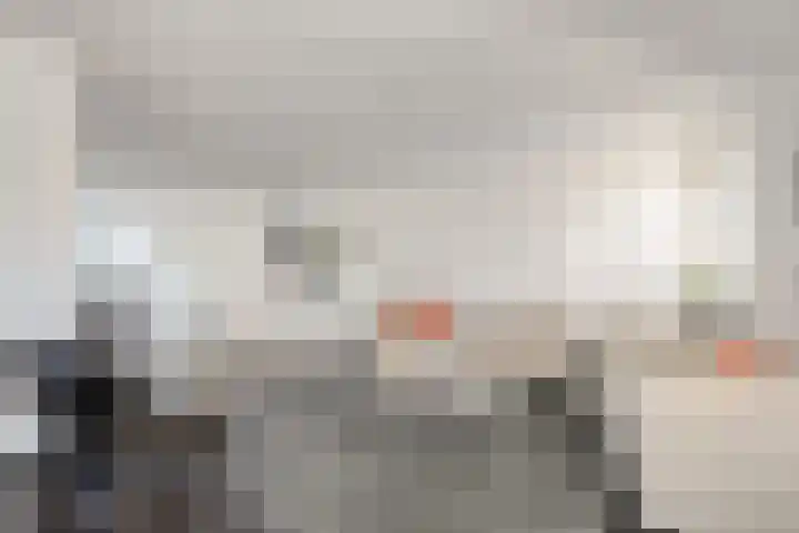 De Waard 7 Heiloo foto 3