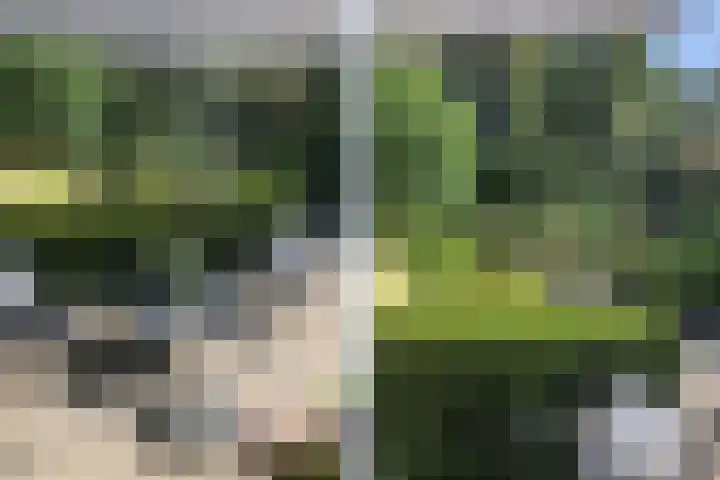 De Waard 7 Heiloo thumbnail 31