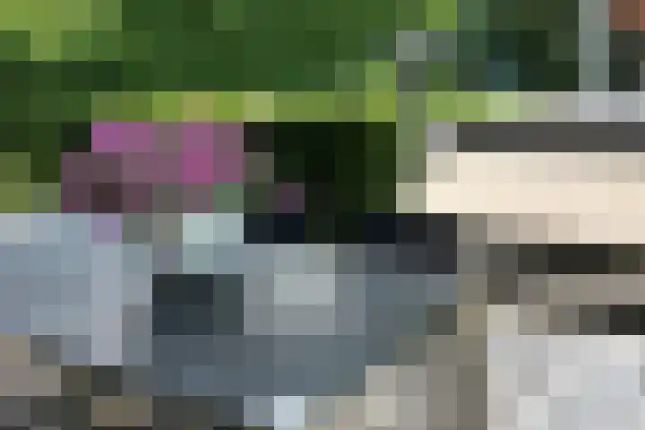 De Waard 7 Heiloo thumbnail 32