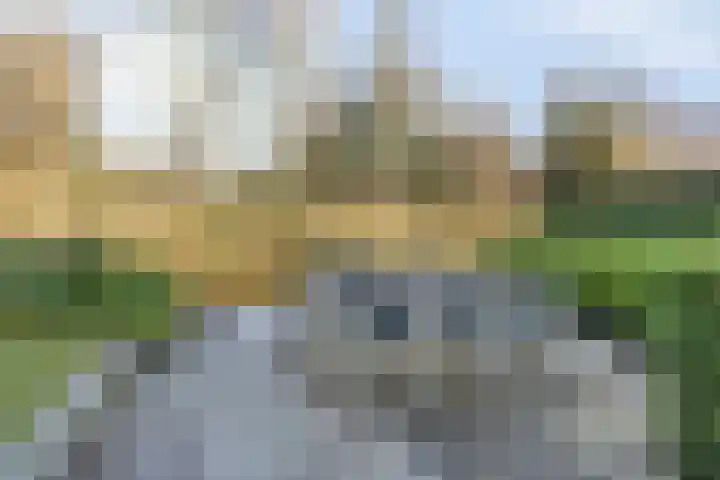 De Waard 7 Heiloo thumbnail 36