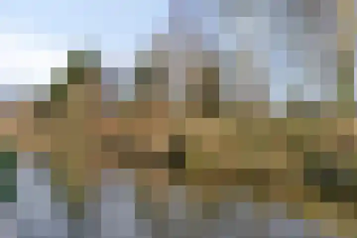 De Waard 7 Heiloo thumbnail 38