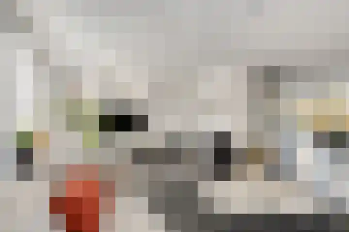 De Waard 7 Heiloo thumbnail 4