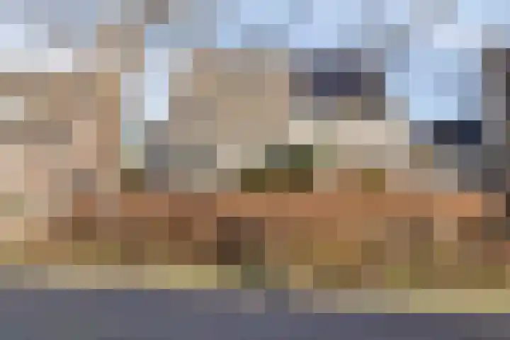 De Waard 7 Heiloo thumbnail 40
