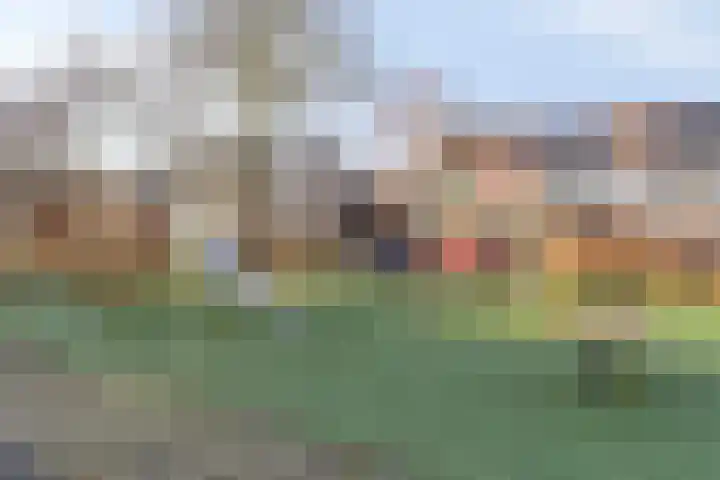 De Waard 7 Heiloo thumbnail 41