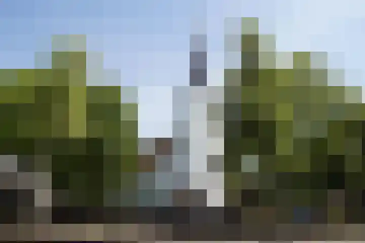De Waard 7 Heiloo thumbnail 42