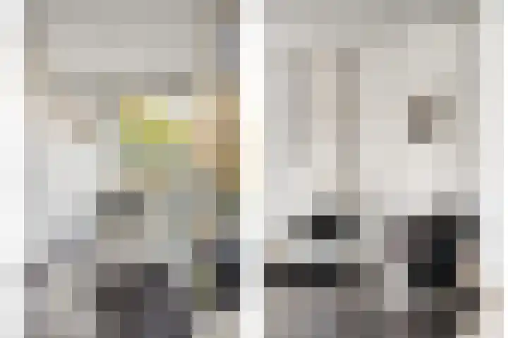 De Waard 7 Heiloo thumbnail 6