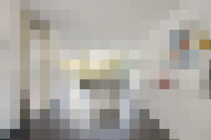 De Waard 7 Heiloo thumbnail 7