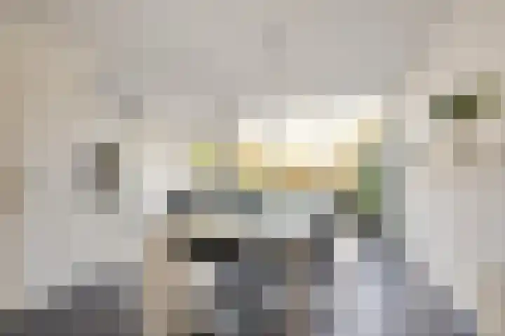De Waard 7 Heiloo thumbnail 8