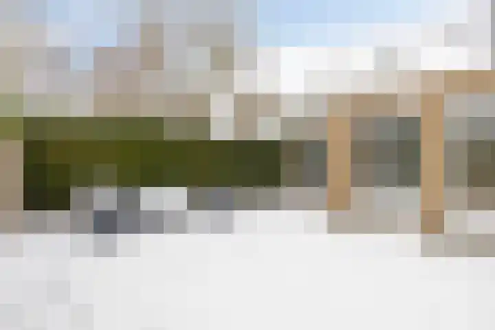 de Wadden 48 Son en Breugel thumbnail 35