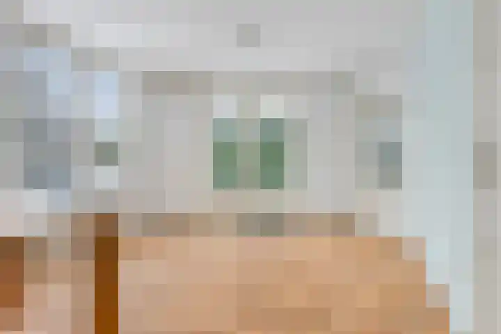 de Wadden 48 Son en Breugel thumbnail 4