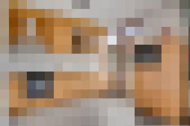 De Wal 41 Neeritter thumbnail 17