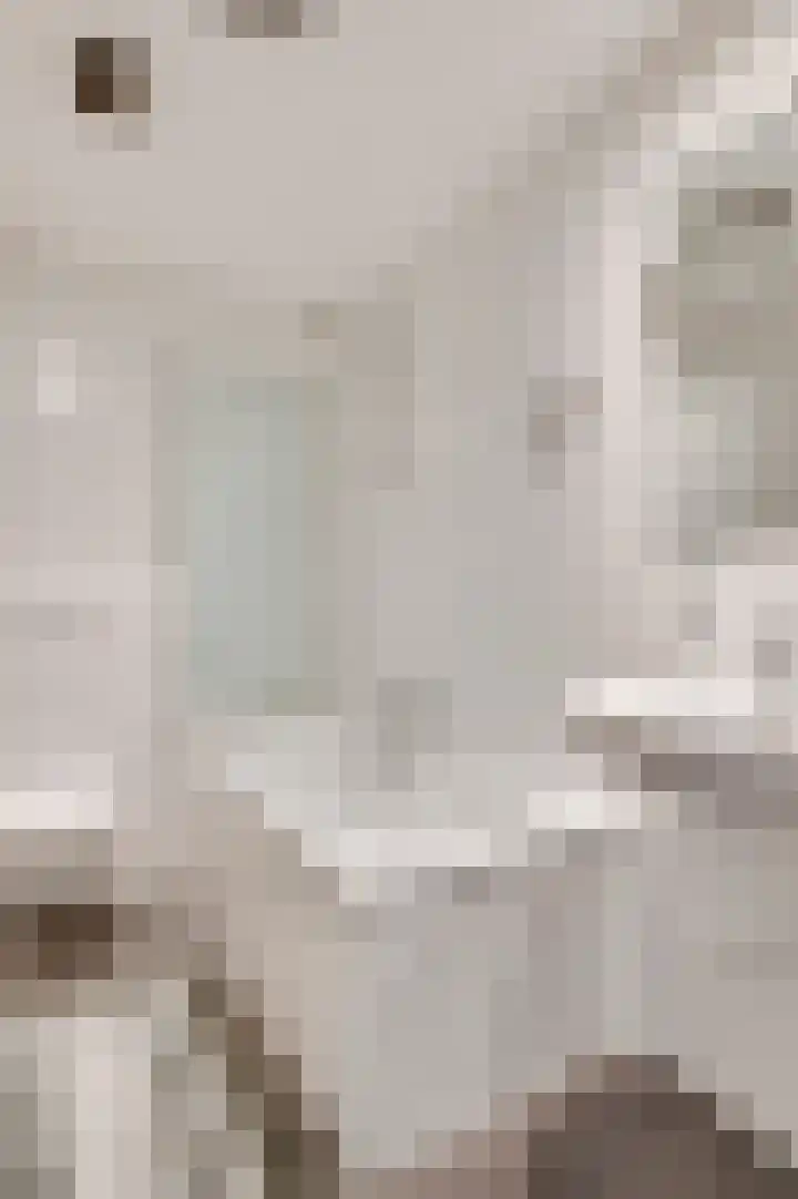 De Wal 41 Neeritter thumbnail 26