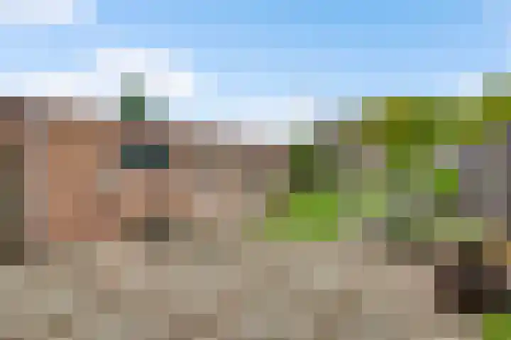 De Wal 41 Neeritter thumbnail 34