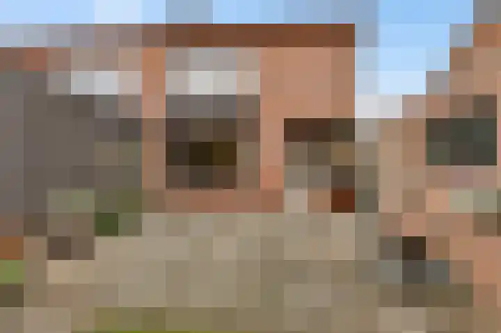 De Wal 41 Neeritter thumbnail 36