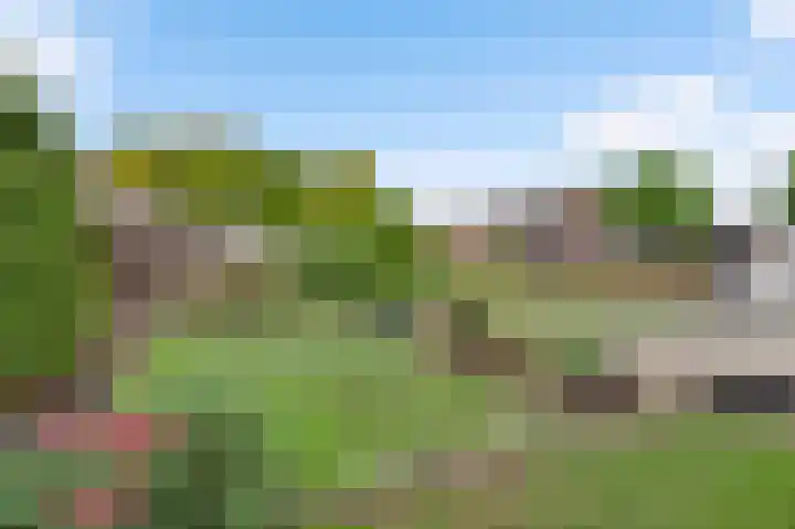 De Wal 41 Neeritter thumbnail 37