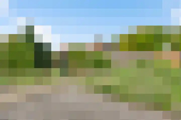 De Wal 41 Neeritter thumbnail 38