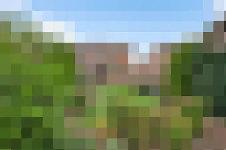 De Wal 41 Neeritter thumbnail 40