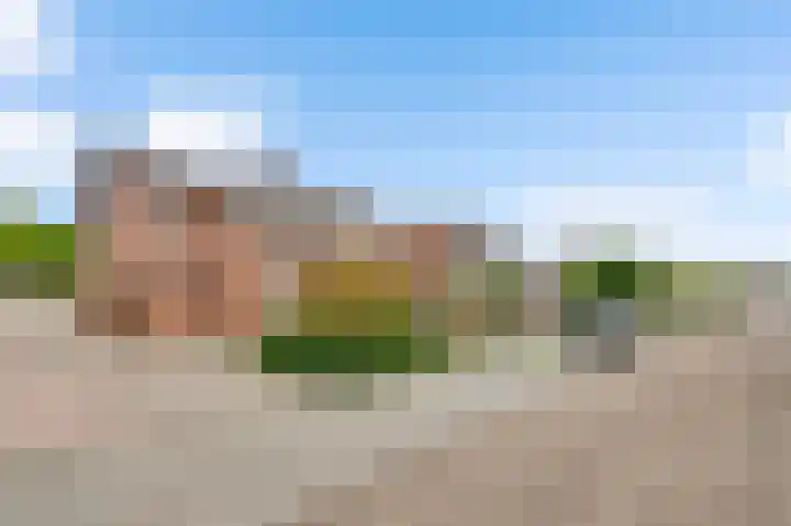 De Wal 41 Neeritter thumbnail 41