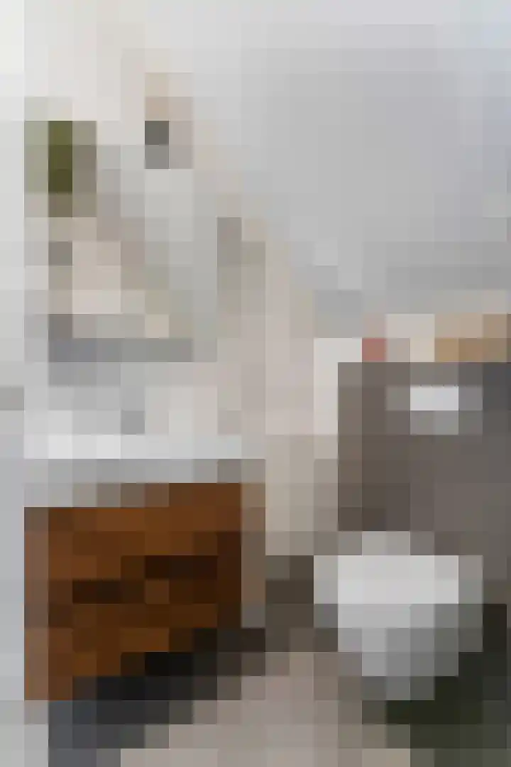 De Walvisch 56 Zeewolde thumbnail 15