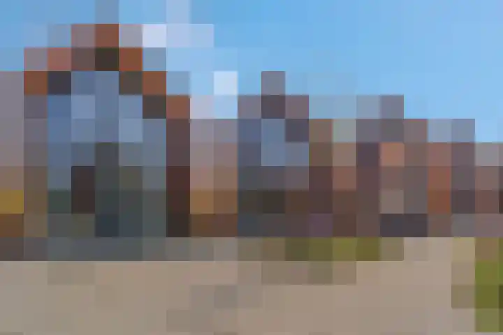 De Walvisch 56 Zeewolde thumbnail 18