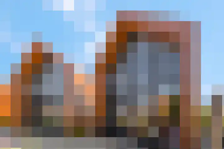 De Walvisch 56 Zeewolde thumbnail 22