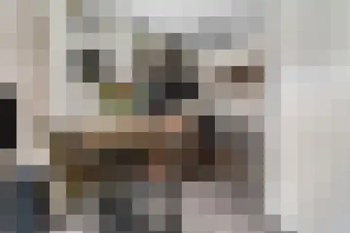 De Walvisch 56 Zeewolde thumbnail 8