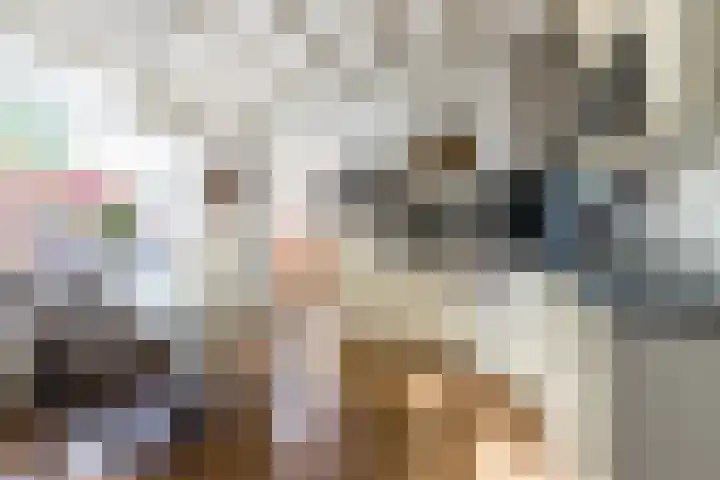 De Wan 1 Geffen thumbnail 13