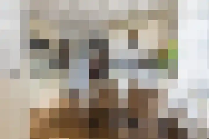 De Wan 1 Geffen thumbnail 14