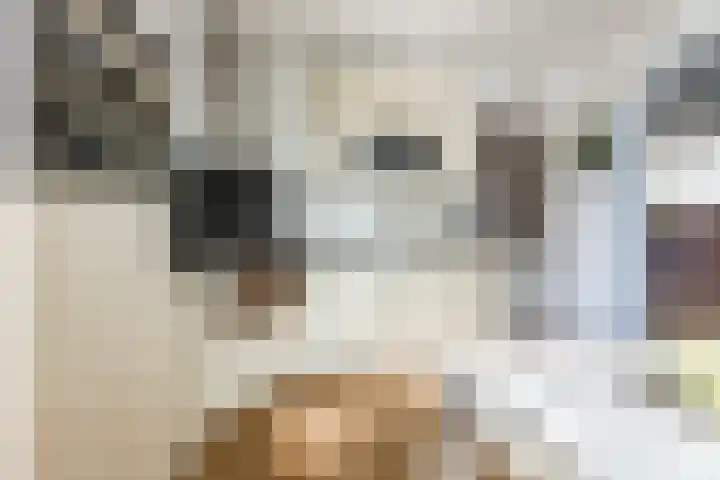 De Wan 1 Geffen thumbnail 15