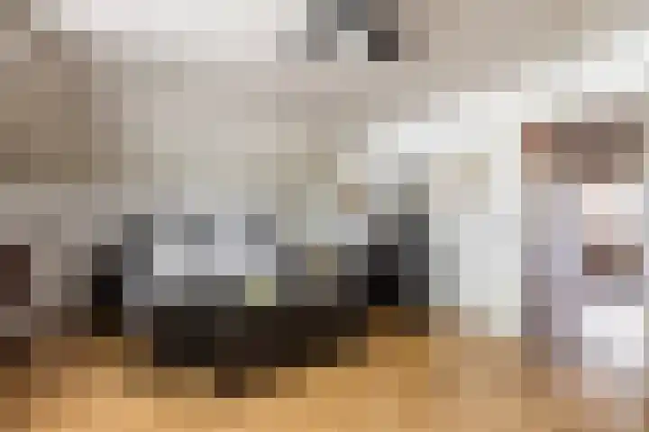 De Wan 1 Geffen thumbnail 22