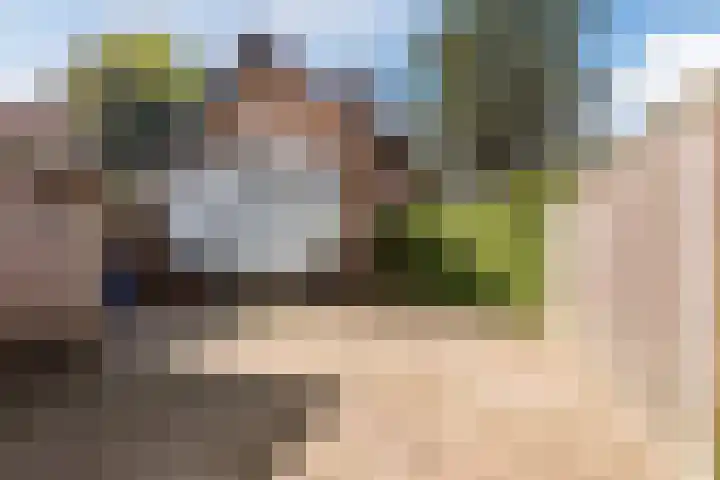 De Wan 1 Geffen foto 3